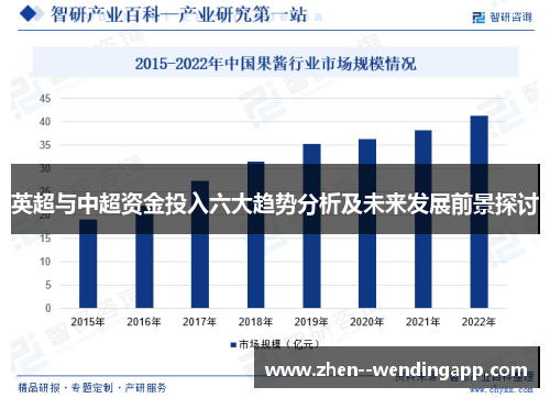 英超与中超资金投入六大趋势分析及未来发展前景探讨