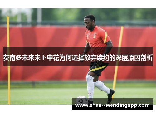 费南多未来未卜申花为何选择放弃续约的深层原因剖析