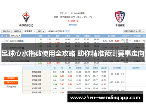 足球心水指数使用全攻略 助你精准预测赛事走向
