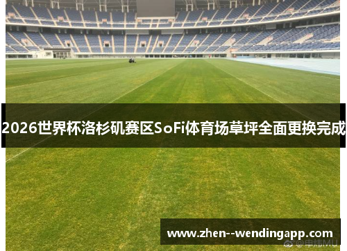 2026世界杯洛杉矶赛区SoFi体育场草坪全面更换完成